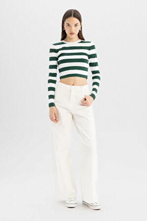 DeFacto Coool Slim Fit Çizgili Bisiklet Yaka Kazak X6888AZ24WNGN311
