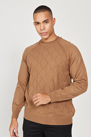 Erkek Vizon Standart Fit Normal Kesim Bisiklet Yaka Jakarlı Triko Kazak