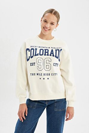 DeFacto Loose Fit Bisiklet Yaka Baskılı Kalın Sweatshirt C7811AX24WNWT32