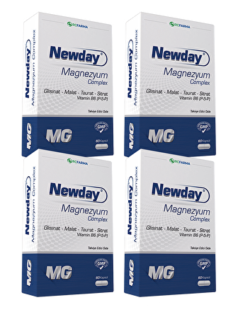 NEWDAY MAGNEZYUM COMPLEX 4X