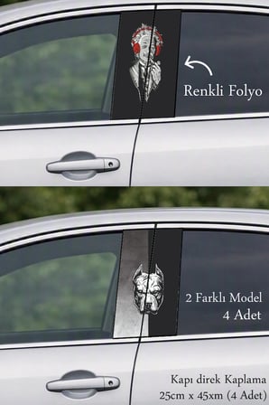 Kapı Direklerinde Şık ve Modern Tasarım Kapı Folyo Baskılı Sticker