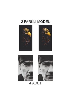 Parlak Karbon Kapı Direk Folyo Sticker Etiket