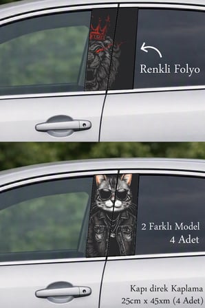 Aracınız İçin Modern Kapı Direk Folyo Sticker Etiket