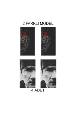 Aracınız İçin Özgün Kapı Direk Folyo Sticker Etiket