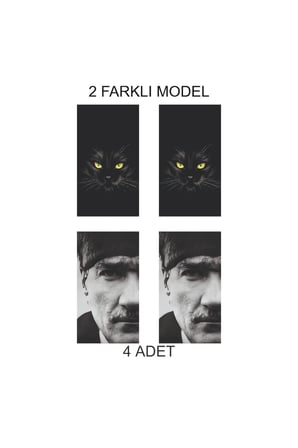 Şık Görsel Tasarım Kapı Direk Folyo Sticker Etiket