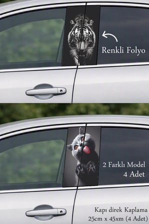 Aracınız İçin Şık Tasarım Detayı Kapı Direk Folyo Sticker Etiket