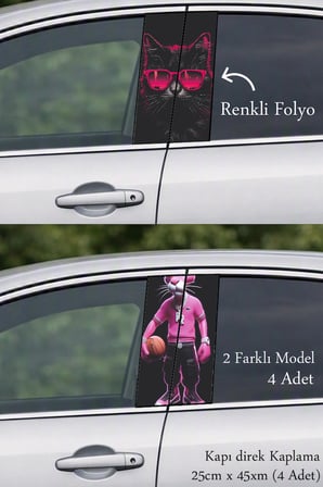 Aracınıza Şık Bir Detay Kapı Direk Folyo Sticker Etiket