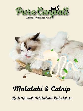 Matatabi & Catnip Kedi Oyuncağı – Doğal Kedi Oyuncağı & Diş Kaşıyıcı