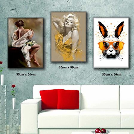 gözlüklü tavşan doğal kadın resimleri 3 adet 35cmx50cm kumaş baskılı canvas tablo