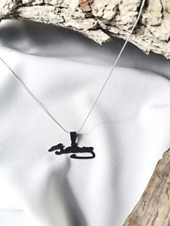 Luna Jewelry Erkek Siyah Atatürk Imza 316L Çelik Kolye