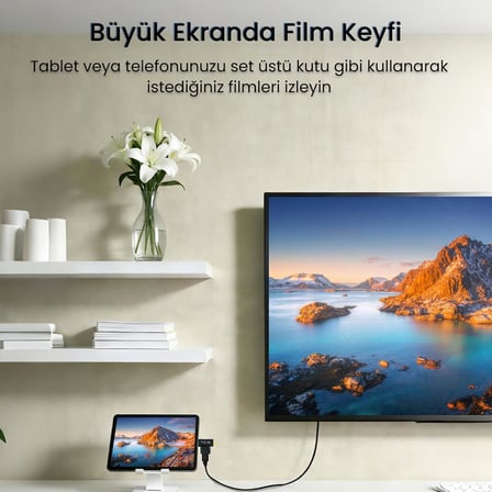 Mini HDMI/Micro HDMI Erkek to HDMI Dişi Dönüştürücü Adaptör