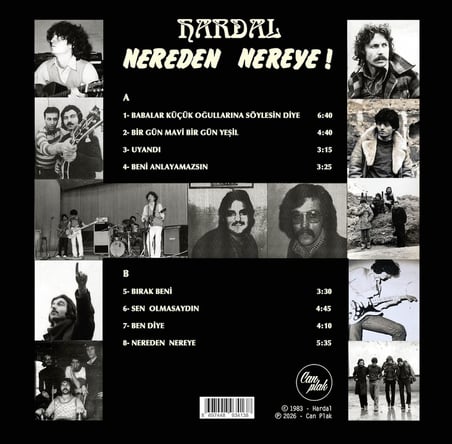 Hardal Nereden Nereye Renkli Plak, LP Vinyl