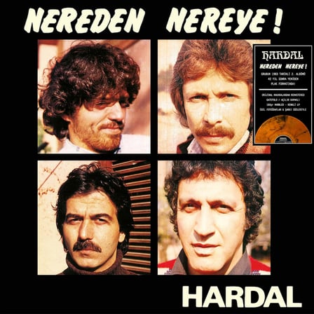 Hardal Nereden Nereye Renkli Plak, LP Vinyl