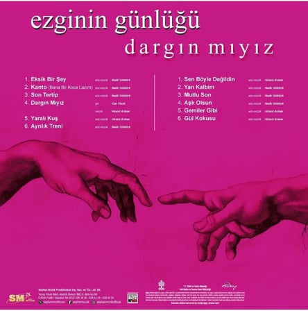 Ezginin Günlüğü/Dargın mıyız Plak Lp