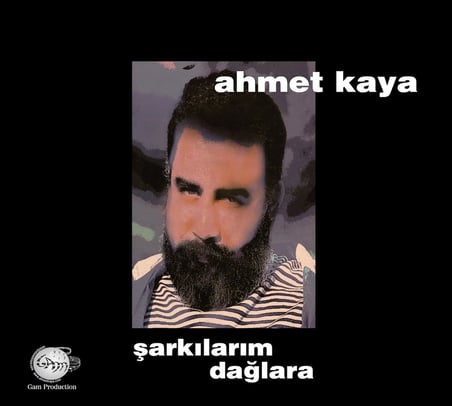 Ahmet Kaya - Şarkılarım Dağlara Plak (LP)