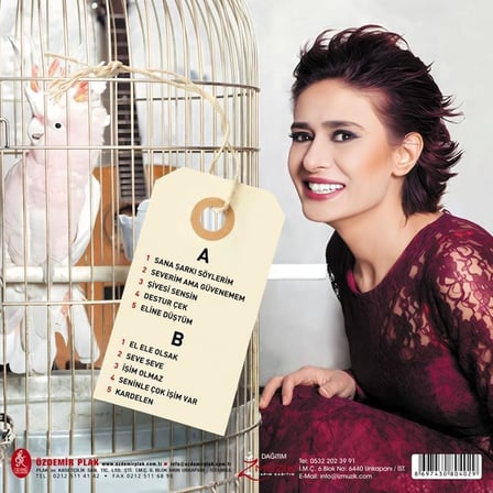 Yıldız Tilbe Şivesi Sensin Aşkın LP Plak