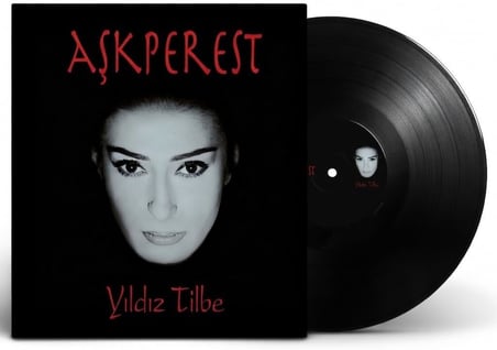 Yıldız Tilbe Aşkperest Plak 12 Parça Türkçe Pop Müzik Albümü