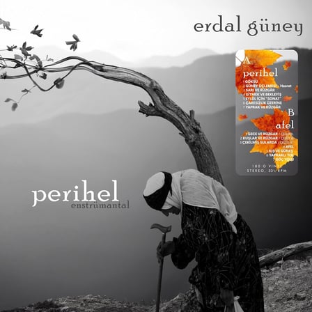 Erdal Güney Perihel-Afel Enstrümantal Plak 180g Vinil LP, Stereo 33⅓ RPM, İki Albüm Bir Arada