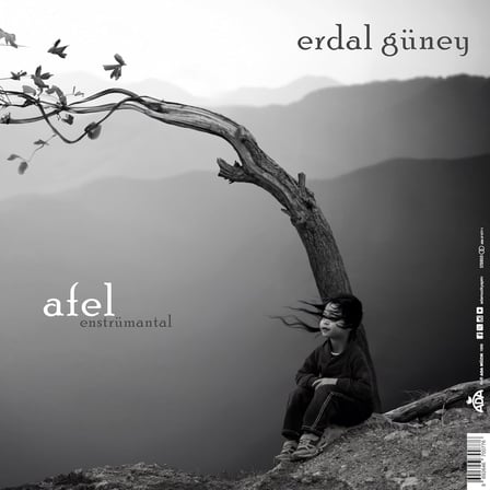 Erdal Güney Perihel-Afel Enstrümantal Plak 180g Vinil LP, Stereo 33⅓ RPM, İki Albüm Bir Arada