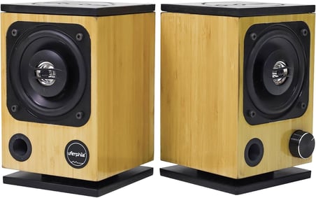 Desktop Bambu Hi-Fi 100W Stereo Hoparlör