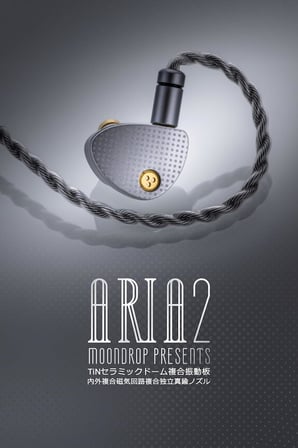 ARIA2 In-Ear Monitor Sahne, Stüdyo veya Odyofil için Kulak içi In-Ear Kablolu Monitör Kulaklık