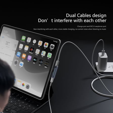 2in1 Type C to 3.5mm Kulaklık Type C 100W Hızlı Şarj Dönüştürücü OTGCX