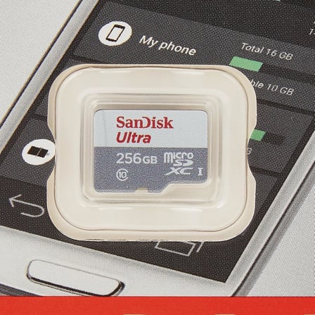 256GB Ultra Lite MicroSDXC 100 MB, Beyaz/Gri