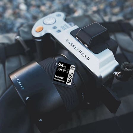 Professional 1667x SD Kart 64 GB, SDXC UHS-II Bellek Kartı, 250 MB/s'ye kadar Okuma, 120 MB/s'ye kadar Yazma, Sınıf 10, U3, V60, SD için Profesyonel Fotoğrafçı, Videografer (LSD64GCB1667)