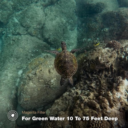 DiveMaster - Hero 9/10/11 için Siyah - Koruyucu Kılıf - Hızlı ve Güvenli - Mavi, Yeşil ve Düz Sularda Parlak Renkleri Yakalayın - Dalış