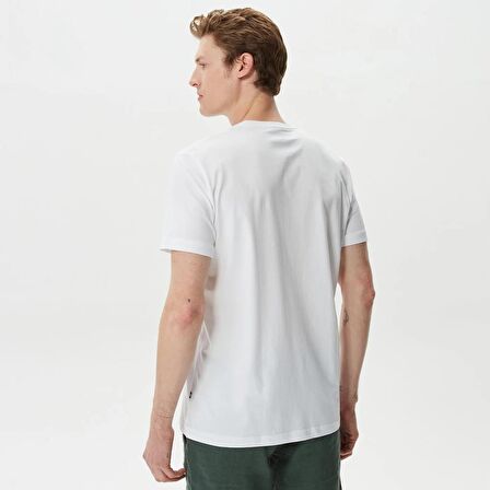 Nautica Erkek T-shirt