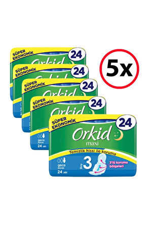 Orkid Maxi 4'lü Gece 24 Adet X 5 Adet
