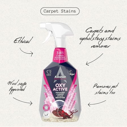 Koltuk ve Halı Temizleyici Sprey 750 Ml