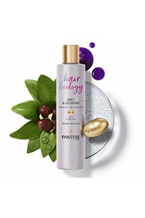 Pantene Hair Biology Tüm Saçlar İçin Renk Koruyucu Mor Şampuan 250 ml