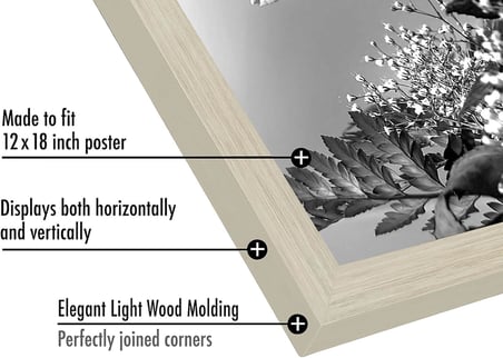Cilalı Pleksiglas ile 12x18 Poster Çerçevesi - Epik Koleksiyon - Tasarlanmış Ahşap ile Galeri Duvar Çerçeveleri - Duvar Teşhir için Fotoğraf Çerçevesi - Açık Ahşap