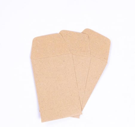 Kraft Tohum Zarfı, 5.5x9 Cm 10 Adet