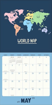 A HandsOffMyDinosaur 2024 Punny Wall Calendar: Ray of Punshine