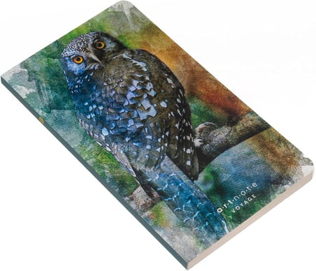 Art Note Voyage, Çizgisiz Seyahat Not Defteri, Karton Kapak, 12x21 cm Dikey, 128 sayfa