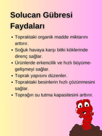 TeoxFarm -Katı Solucan Gübresi-1KG