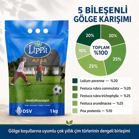 Lippa Pro Shadow 5S Gölge Alan Çim Tohumu, Ağaç Altı ve Yarı Gölge İçin 5 Bileşenli Karışım, 1 kg