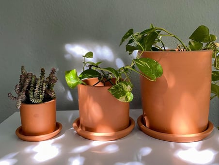 Terracotta Silindir Saksı+Tabak • Pembenin Tonları (Küçük)