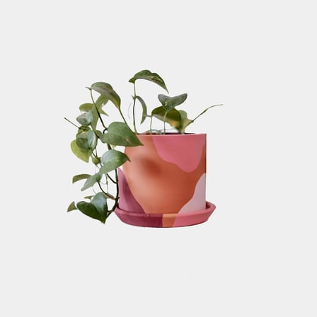 Terracotta Silindir Saksı+Tabak • Pembenin Tonları (Küçük)