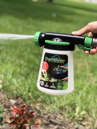 36HE6 Bukalemun Hortum Sonlandırıcı Doğal