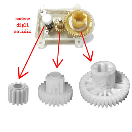 Schafer Rose Gold Multi Blender Seti Hazne Kapağı Dişli Kutusu Tamir Dişli Seti Uyumlu