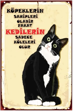 Kuşe Kağıt Duvar Posteri Kedilerin Sadece Köleleri Olur Retro Vintage Drtr0033