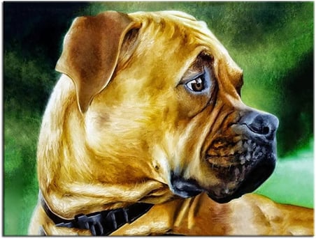 Talya Koruma Köpeği Buldog Kanvas Tablosu. Köpek Kuş At Aslan, Eski Harita, Oldmap, Antik Mısır, Uzay, New York Atatürk Dekoratif Duvar Pano (50x35)