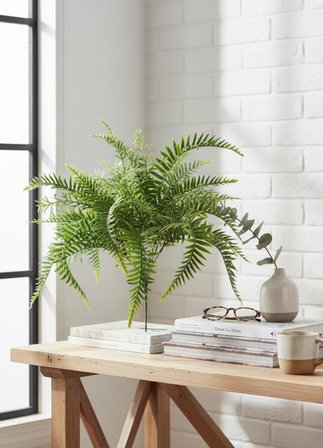 Yapay Çiçek Plastik Cycas Aşk Merdiveni Eğrelti Otu Sıkas Bitkisi 18Yaprak 50*50cm Yapay Bitki