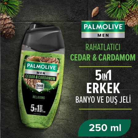 Men Duş Jeli 250 ml Cedarwood