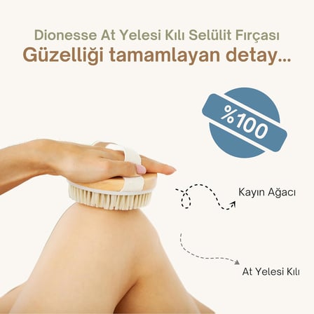 At Kılı Fırçası |  Kayın Ağacı Ve At Yelesi Kıllarından El Yapımı Selülit Fırçası