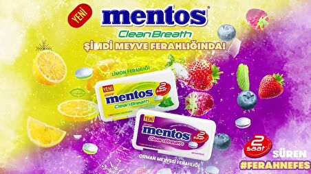 Mentos Clean Breath Orman Meyvesi 12Adet x 21Gram