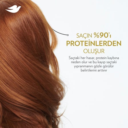 Şampuan Amino Serum Yoğun Onarıcı 375 ml